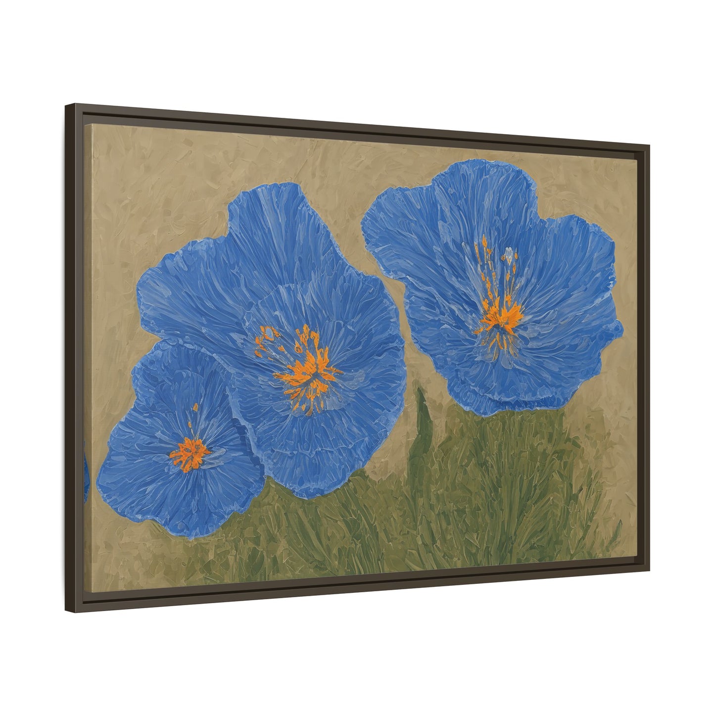 The Himalayan Poppies