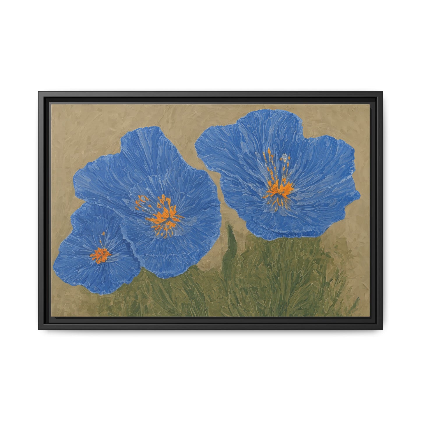 The Himalayan Poppies