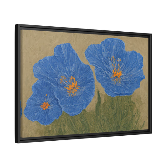 The Himalayan Poppies