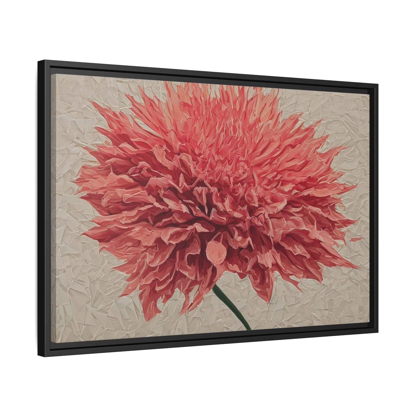 Spike Dahlia