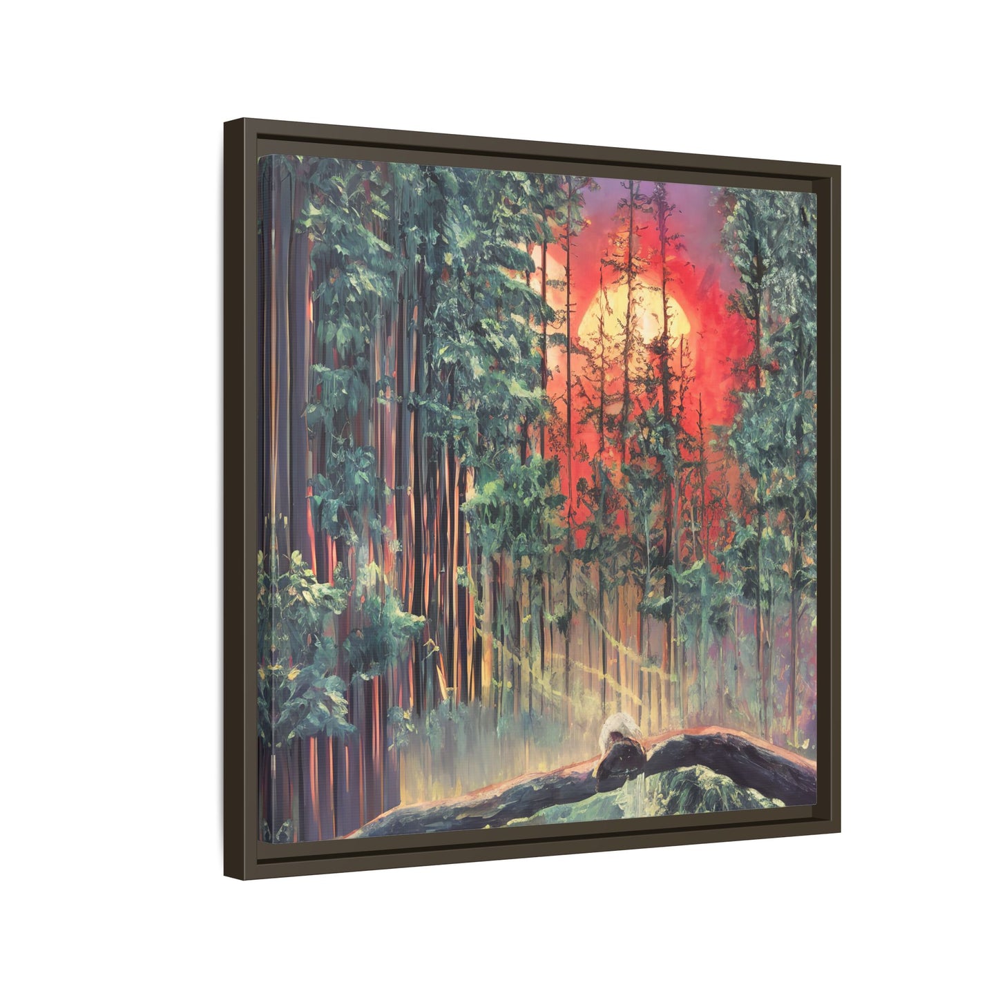 Sunsetting Woods