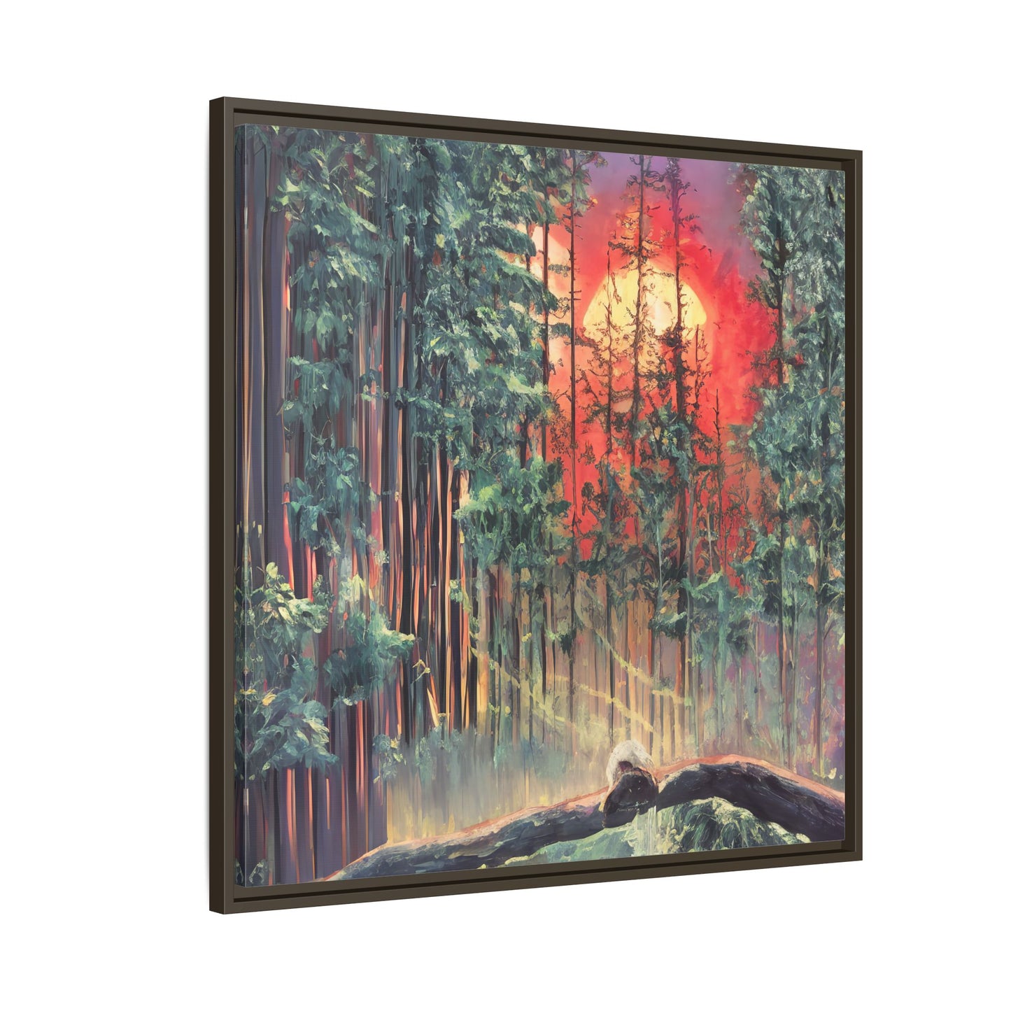 Sunsetting Woods
