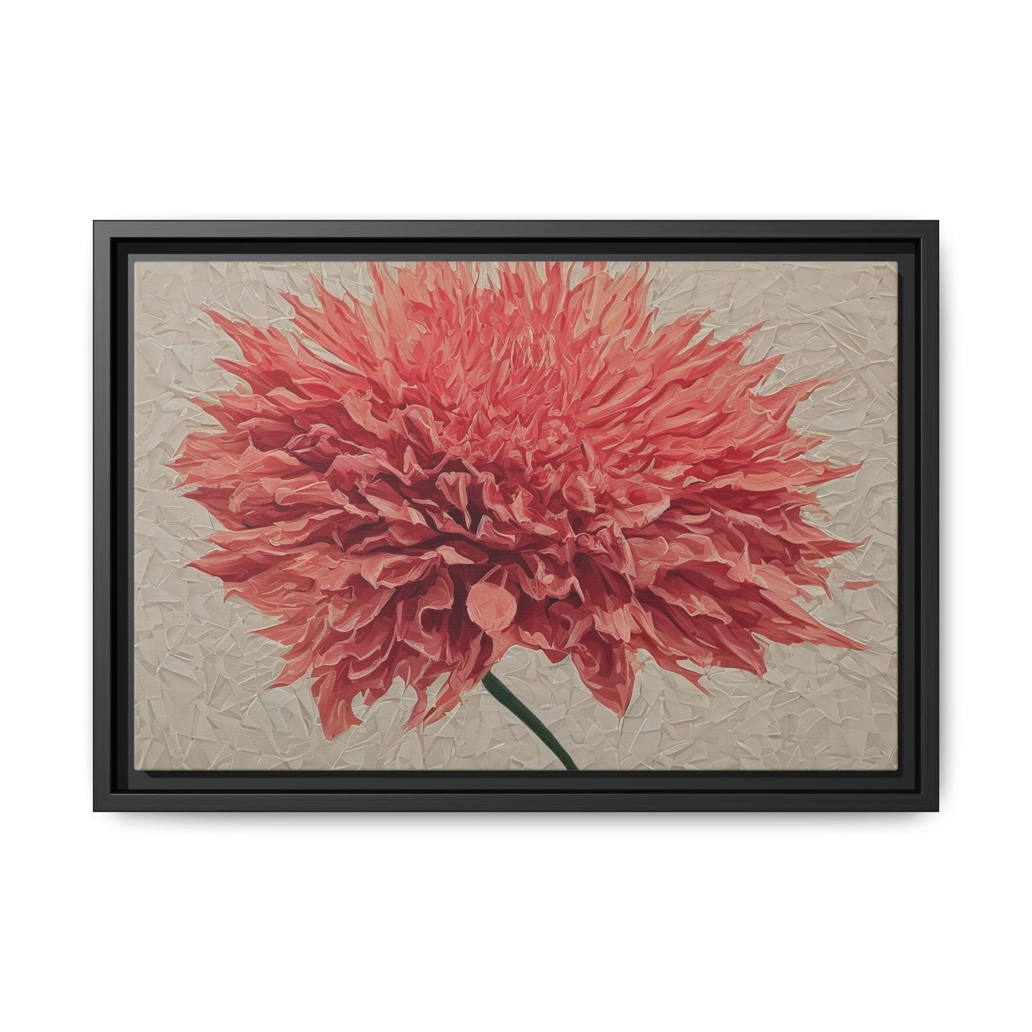 Spike Dahlia