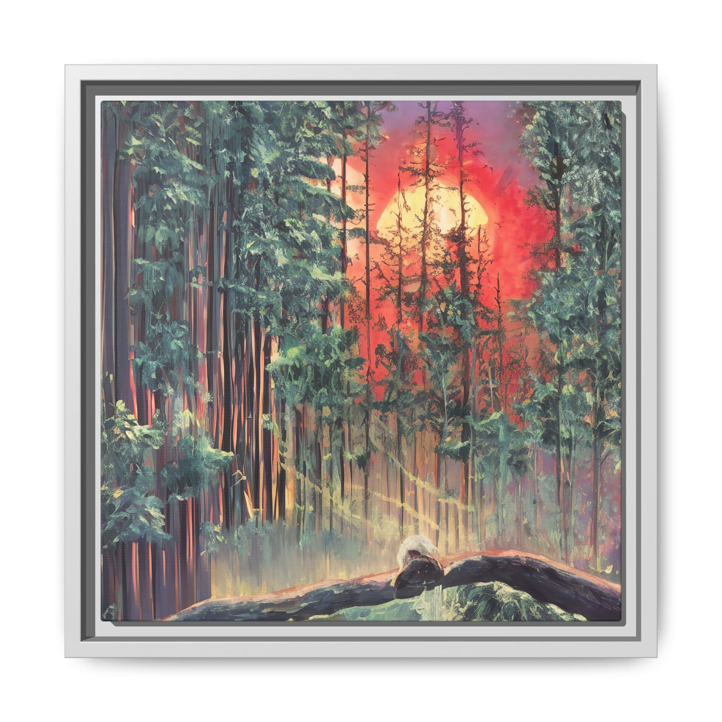 Sunsetting Woods
