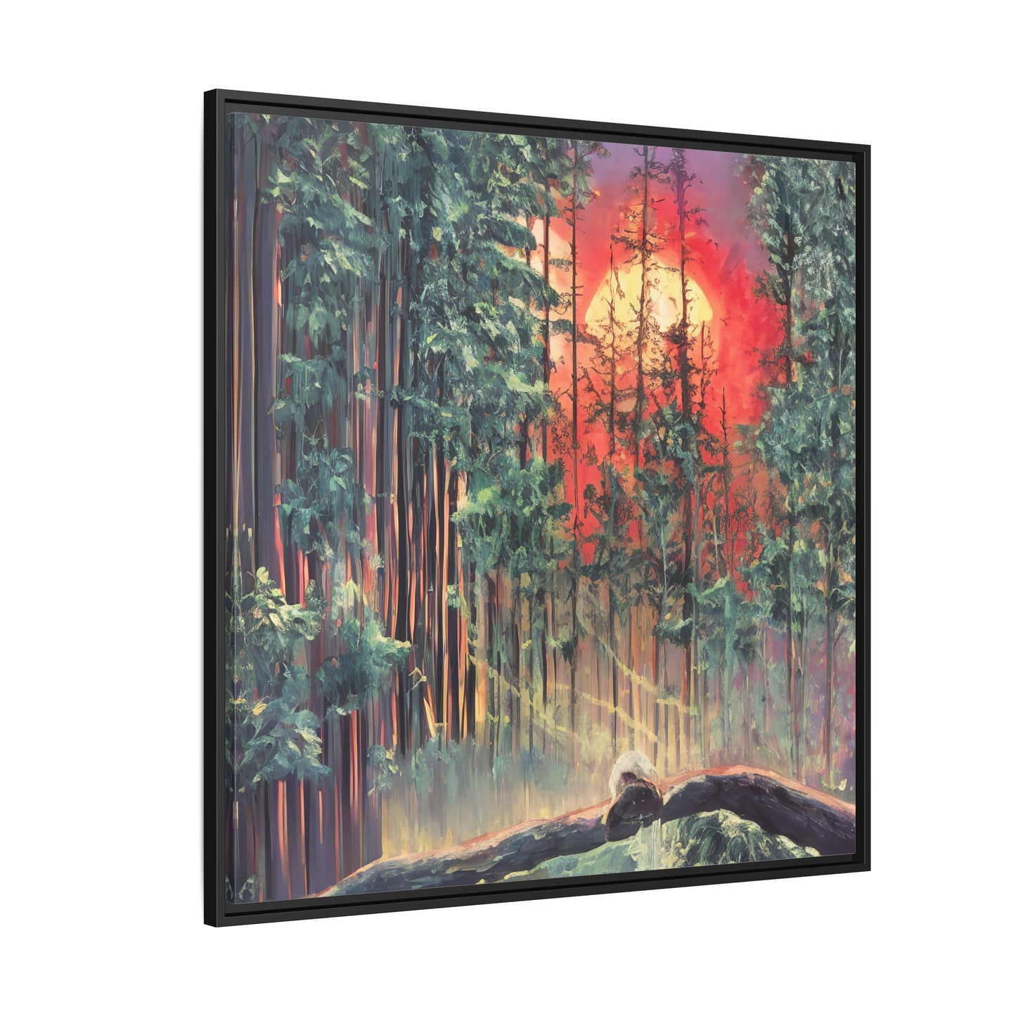 Sunsetting Woods