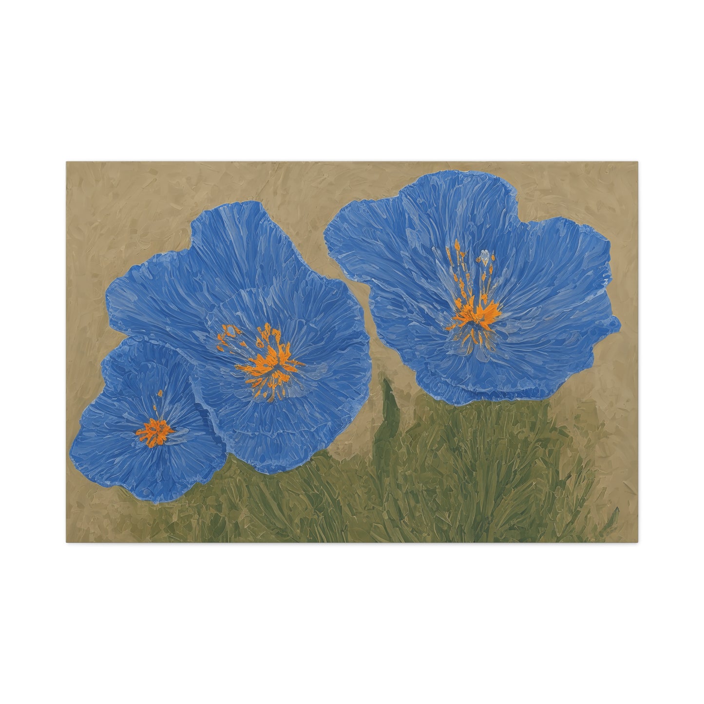 The Himalayan Poppies