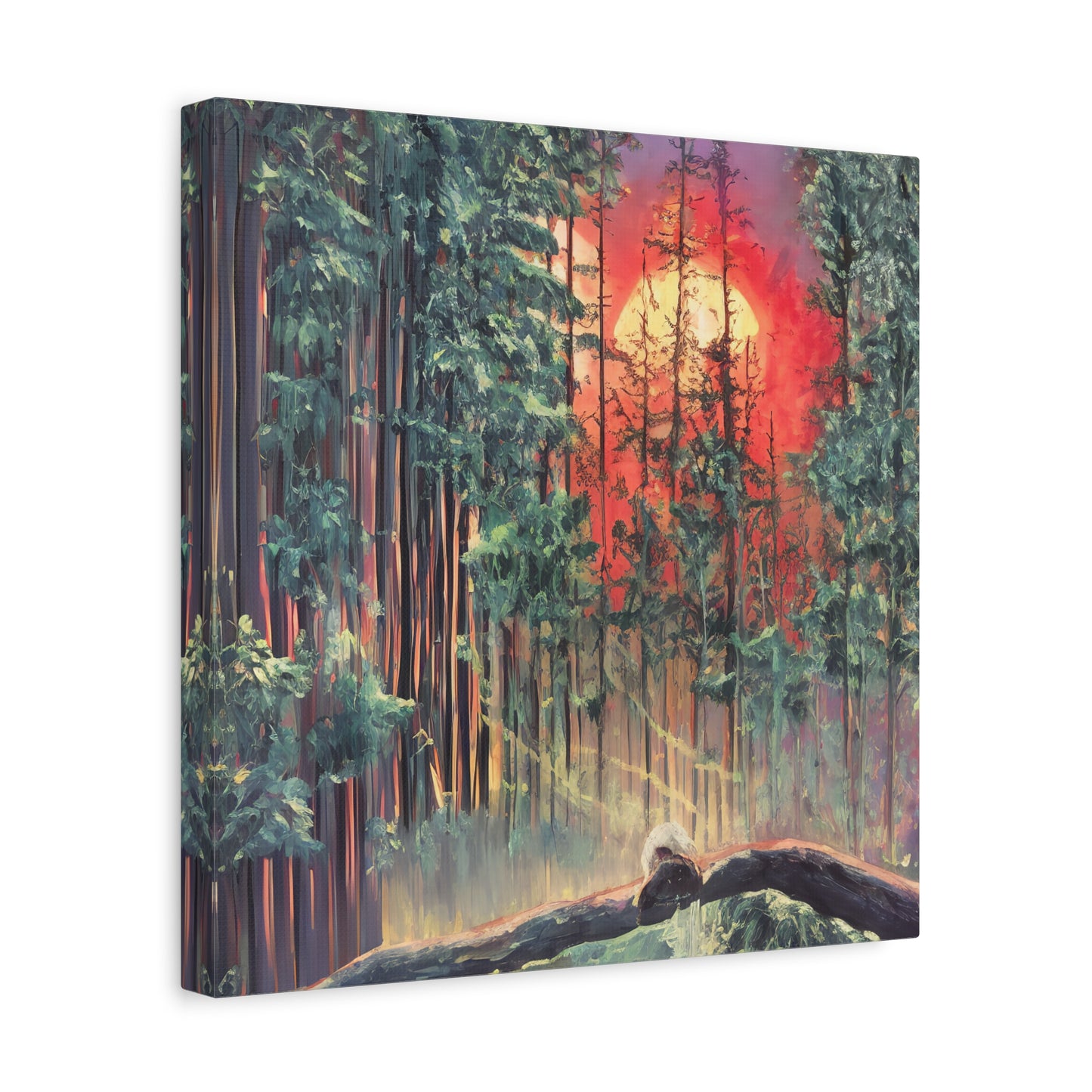 Sunsetting Woods