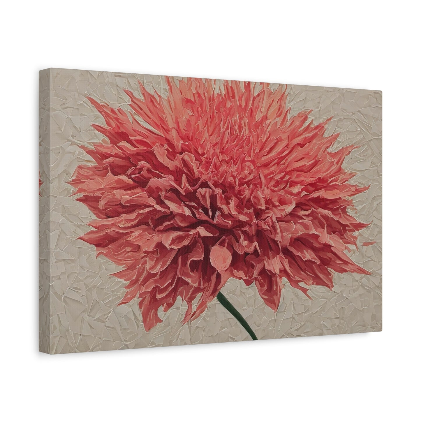 Spike Dahlia