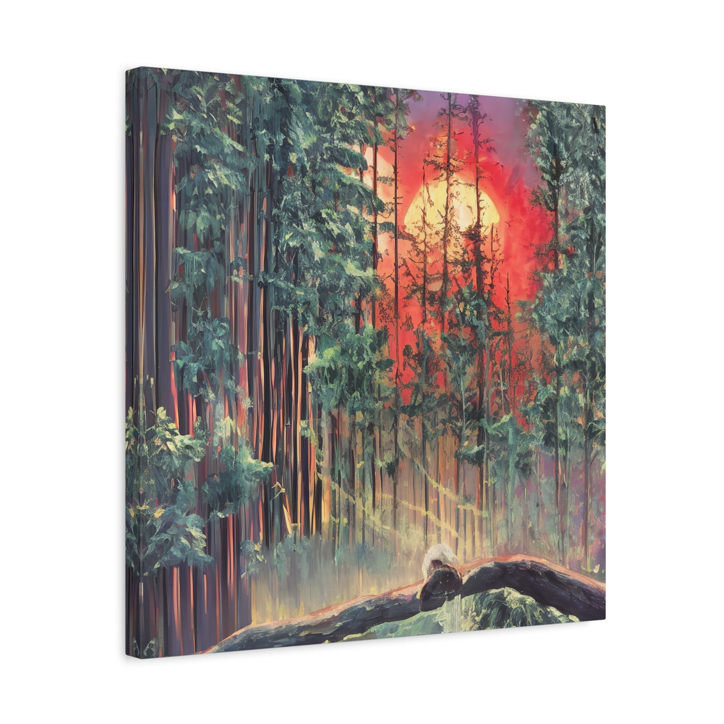 Sunsetting Woods