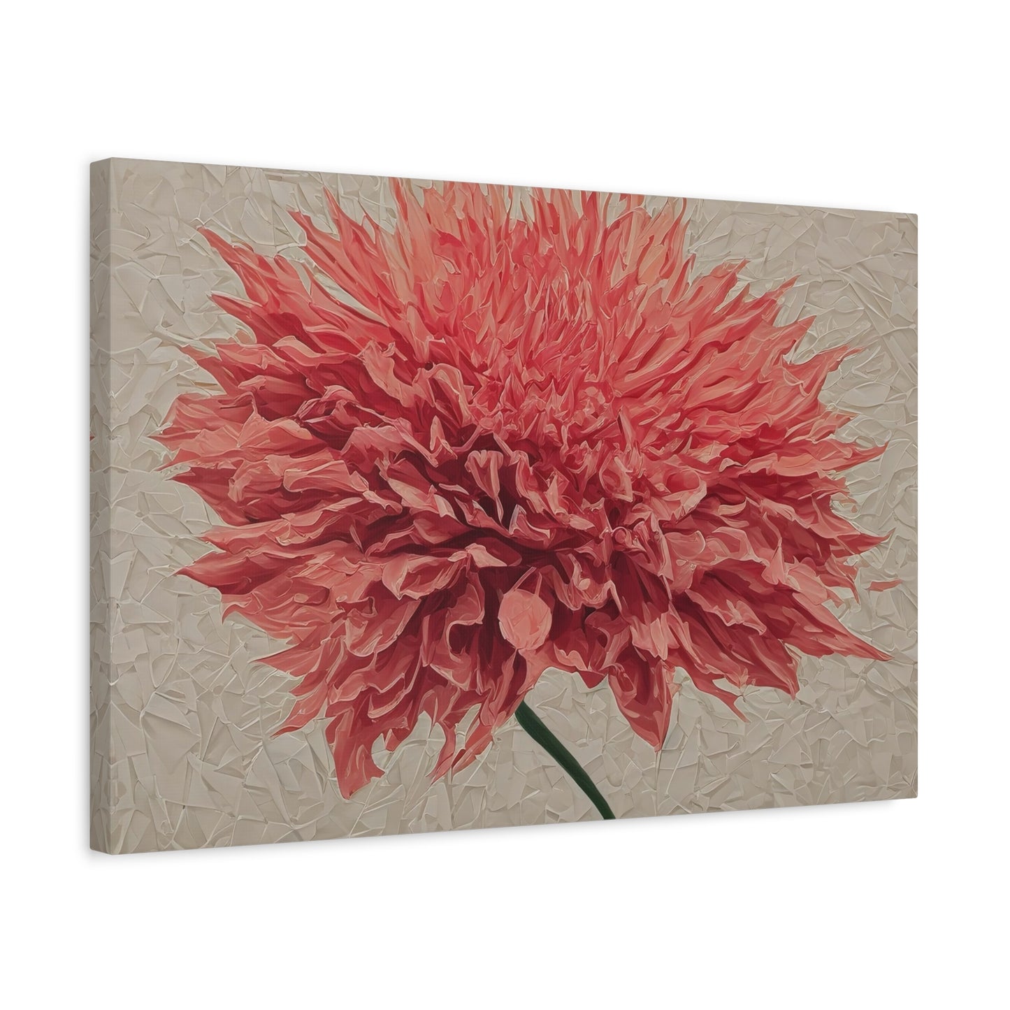 Spike Dahlia