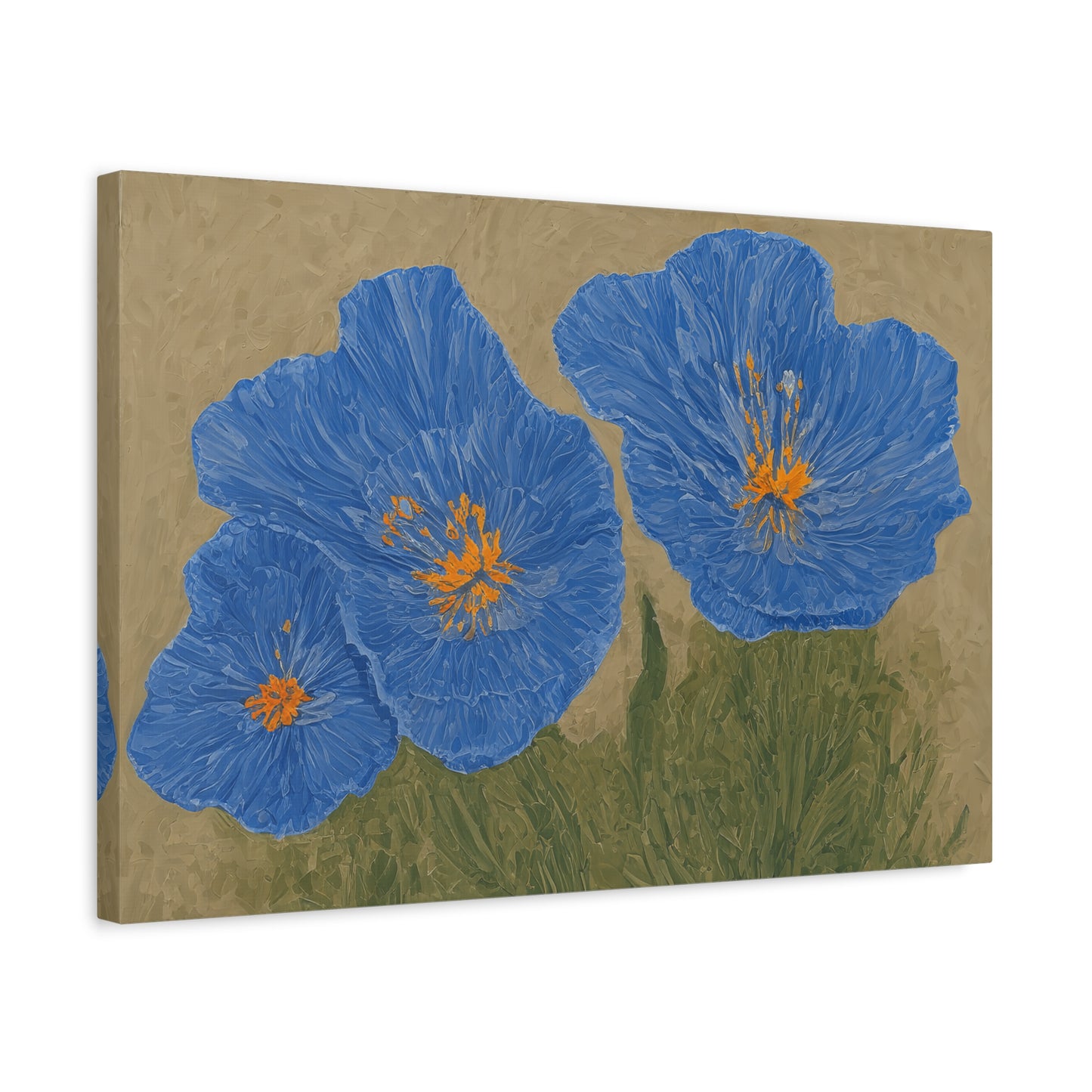 The Himalayan Poppies