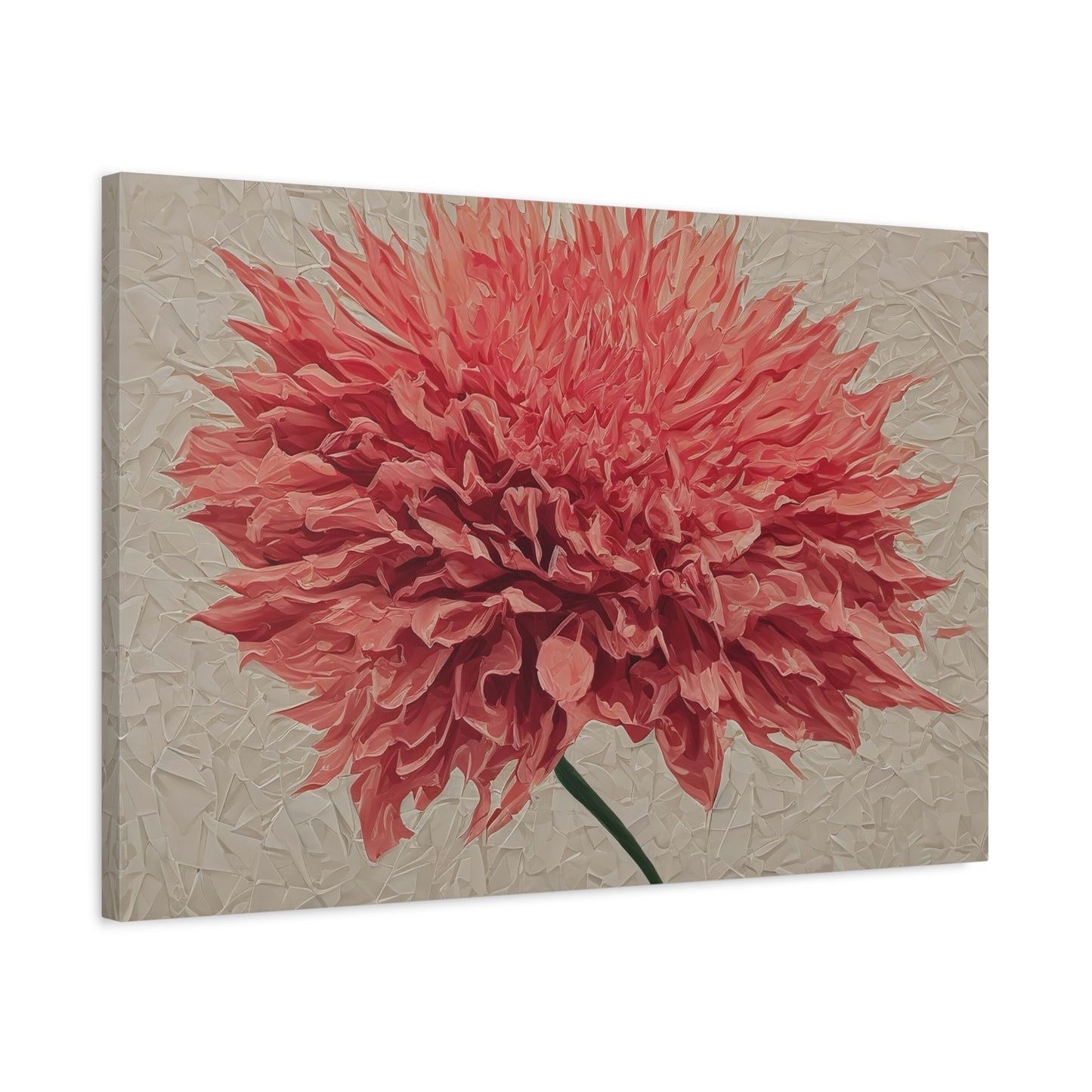 Spike Dahlia