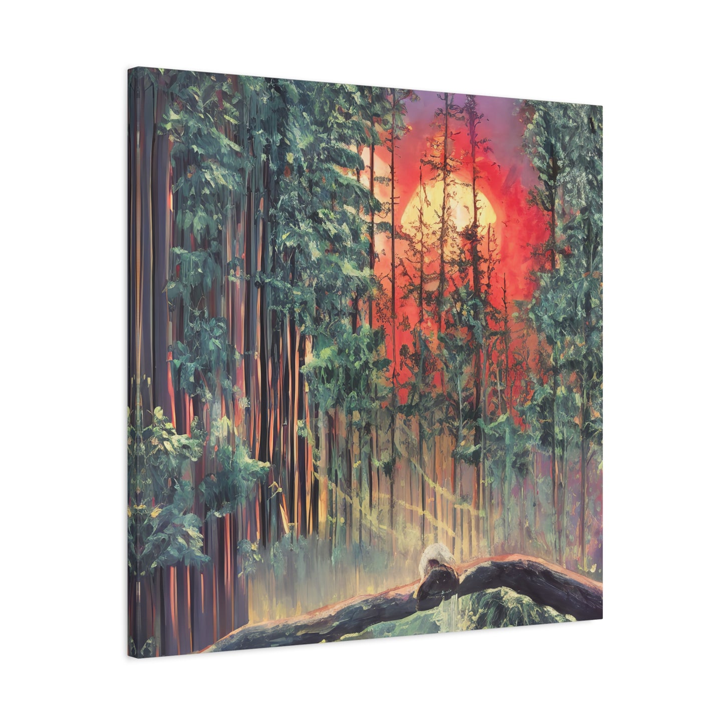 Sunsetting Woods
