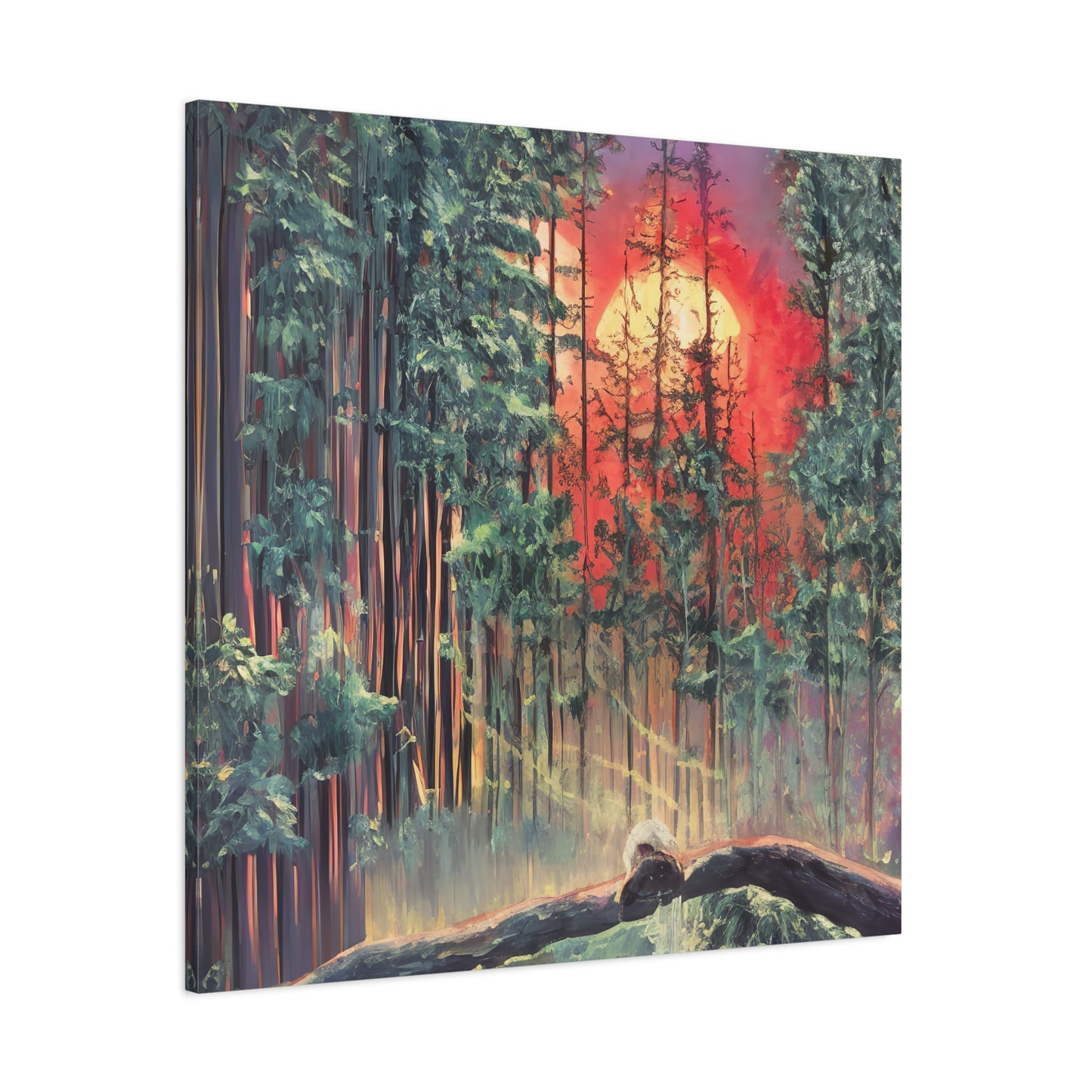 Sunsetting Woods