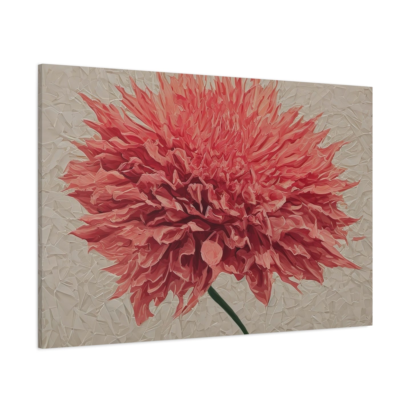 Spike Dahlia