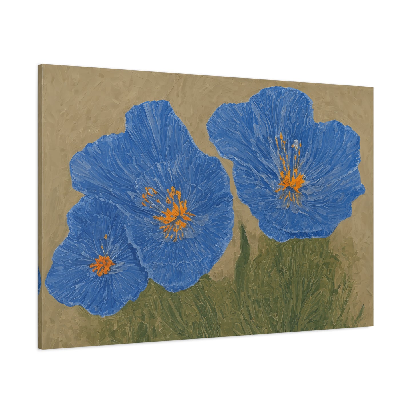 The Himalayan Poppies