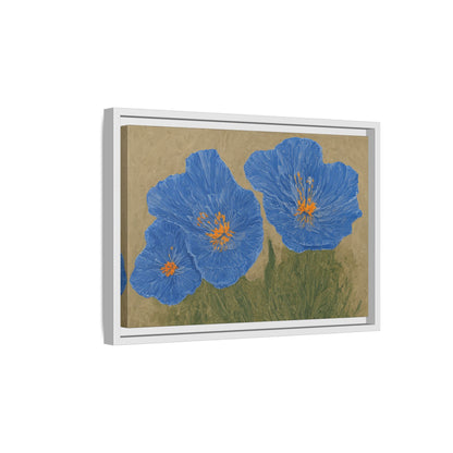The Himalayan Poppies