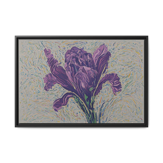 Iris