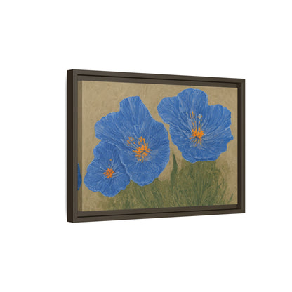 The Himalayan Poppies