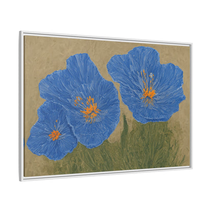 The Himalayan Poppies