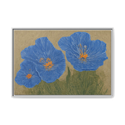 The Himalayan Poppies