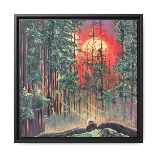 Sunsetting Woods