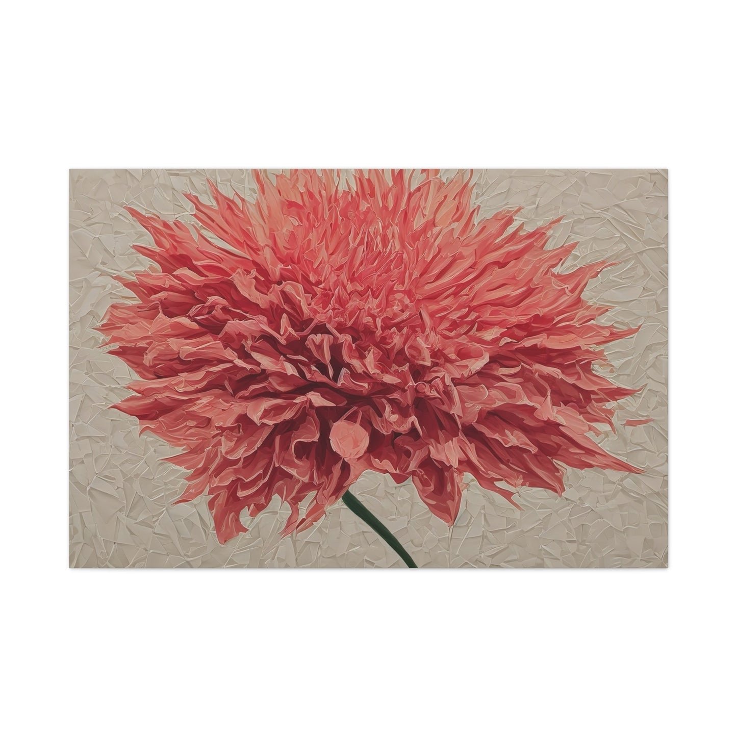 Spike Dahlia